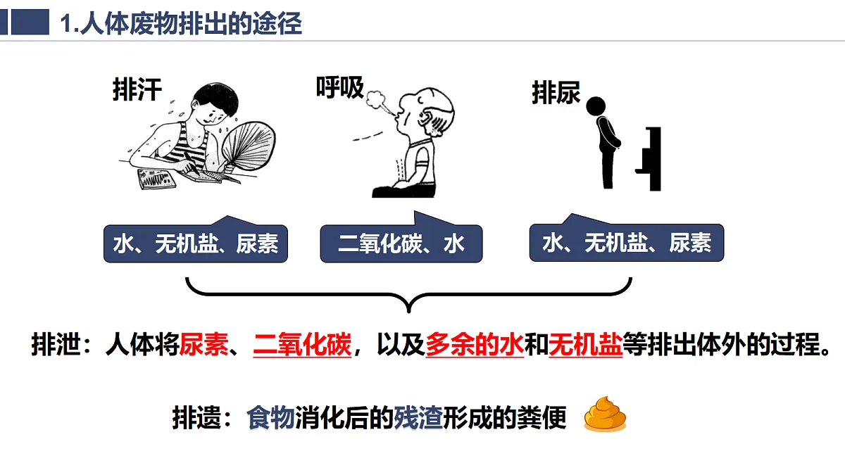 18400874第7页