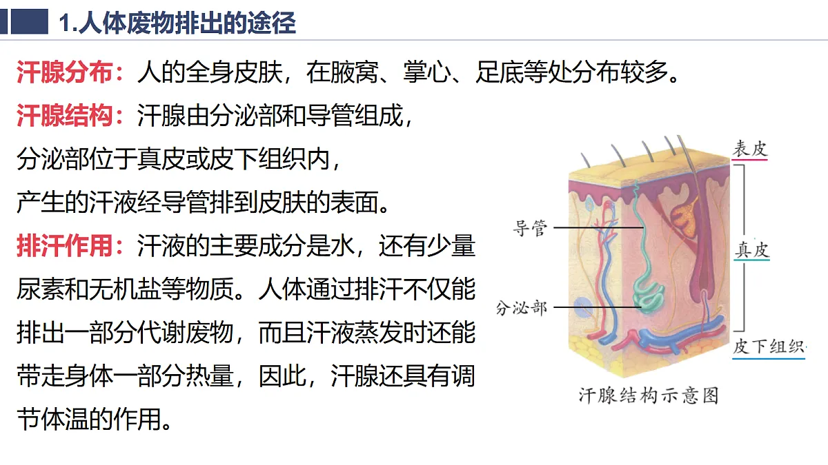 18400874第8页