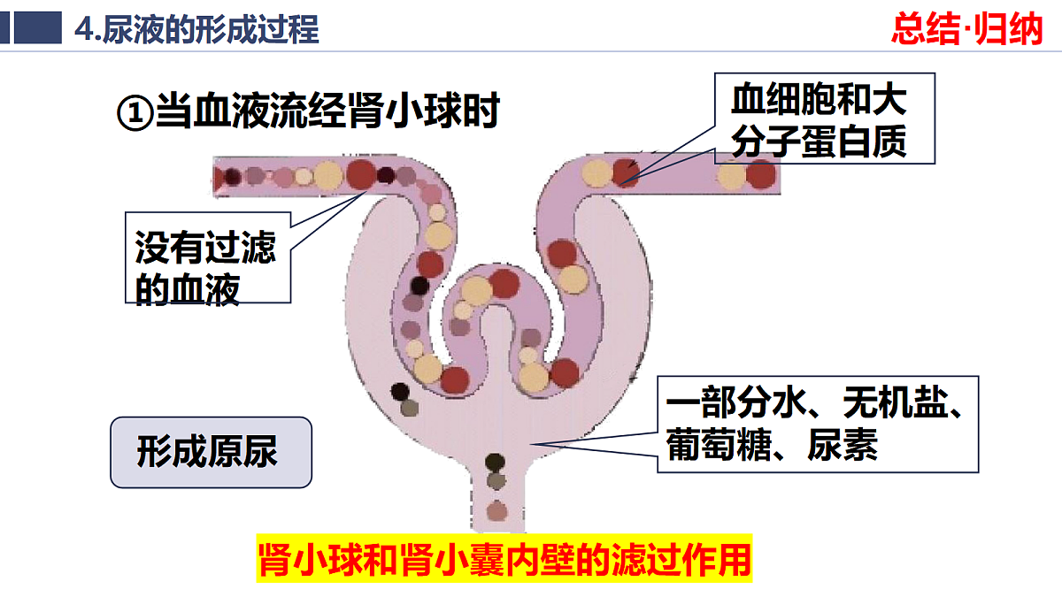 18400876第8页