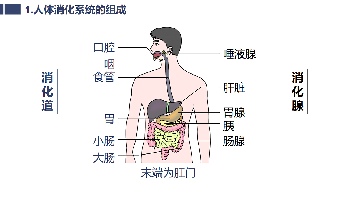 18400973第8页