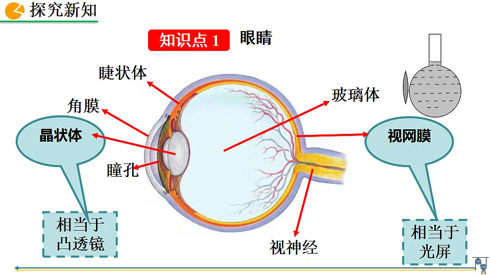 18401477第5页