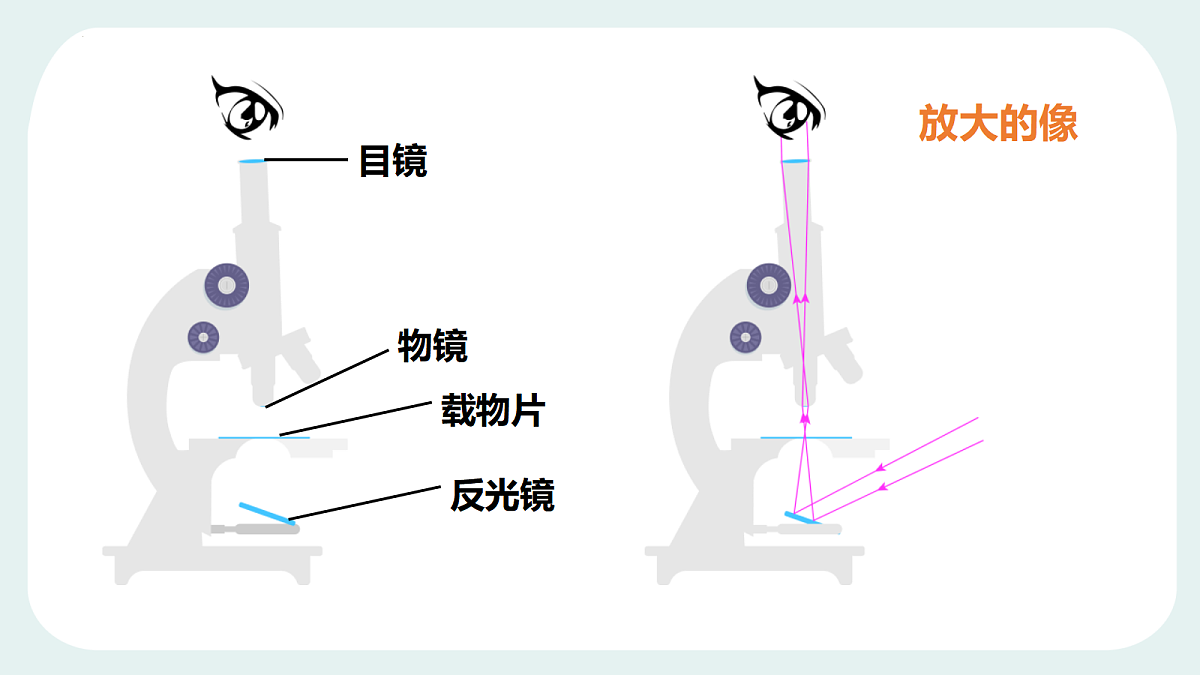 18403596第4页