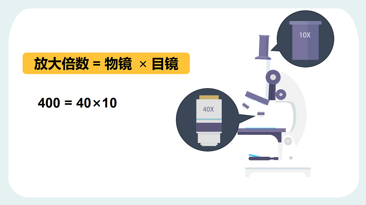 18403596第6页