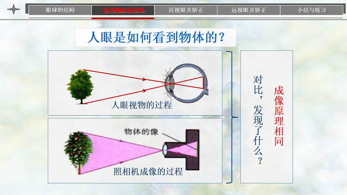 18403732第5页