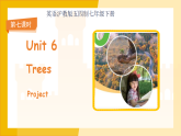 Unit 6 Trees（Project ）课件 （新教材）初中英语沪教牛津（五四制）七年级下册（2024）