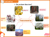 Unit 6 Trees（Project ）课件 （新教材）初中英语沪教牛津（五四制）七年级下册（2024）