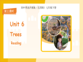 Unit 6 Trees（ Reading）课件 （新教材）初中英语沪教牛津（五四制）七年级下册（2024）