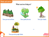 Unit 6 Trees （Speaking）课件 （新教材）初中英语沪教牛津（五四制）七年级下册（2024）