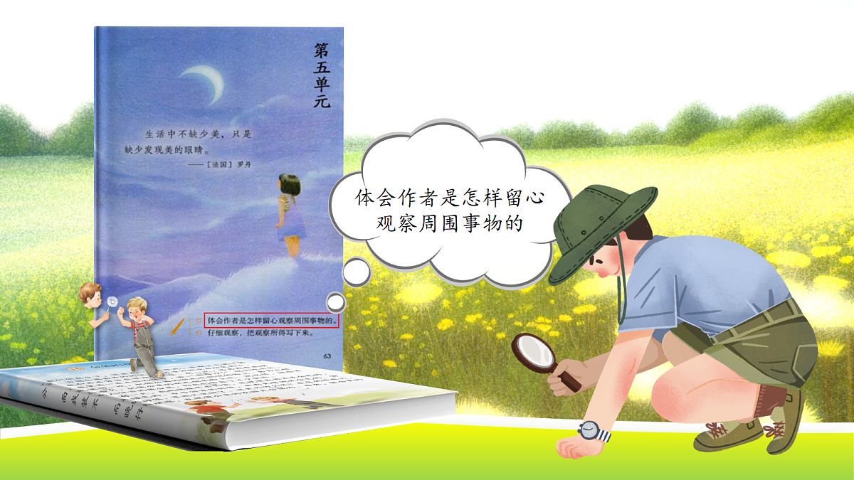 人教部编版语文三上 第五单元 习作《我们眼中的缤纷世界》 课件第4页