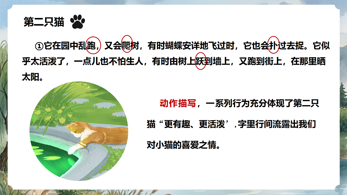 人教部编版语文七上 第17课《猫》第二课时 课件第8页