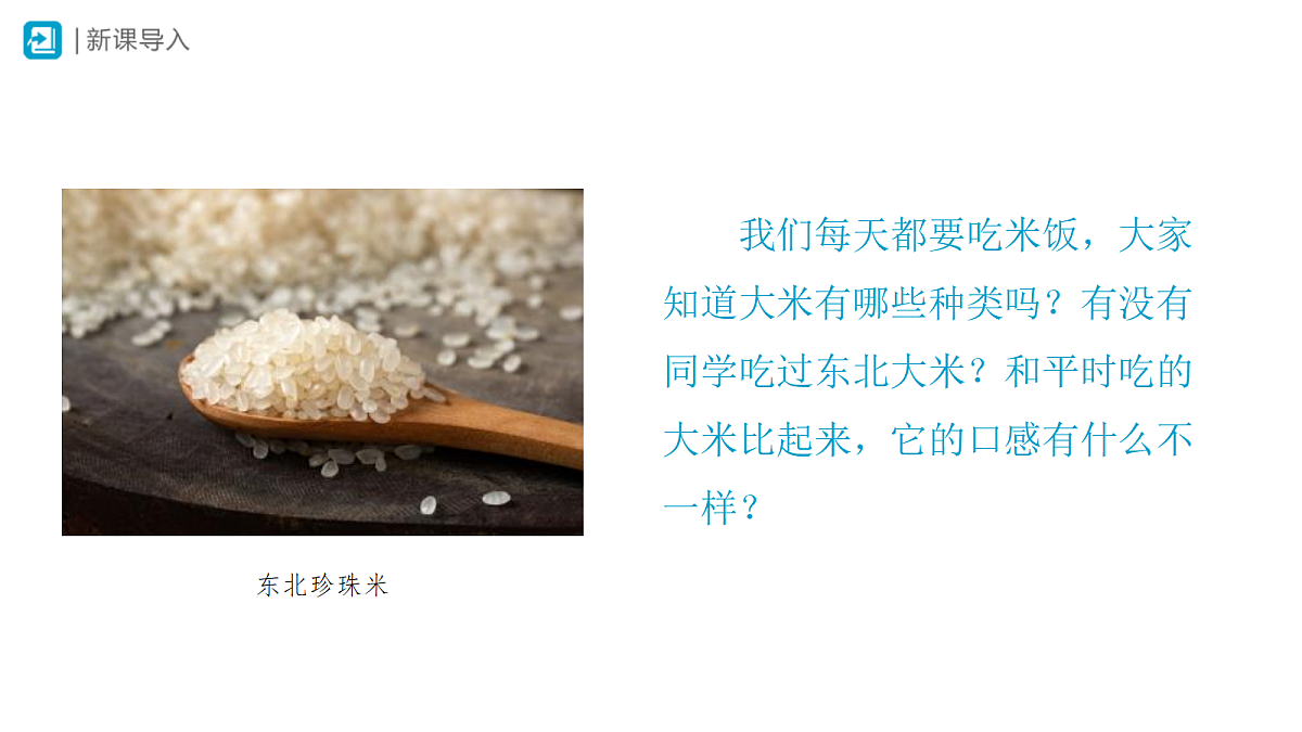 18406739第2页