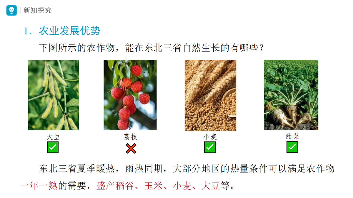18406739第4页