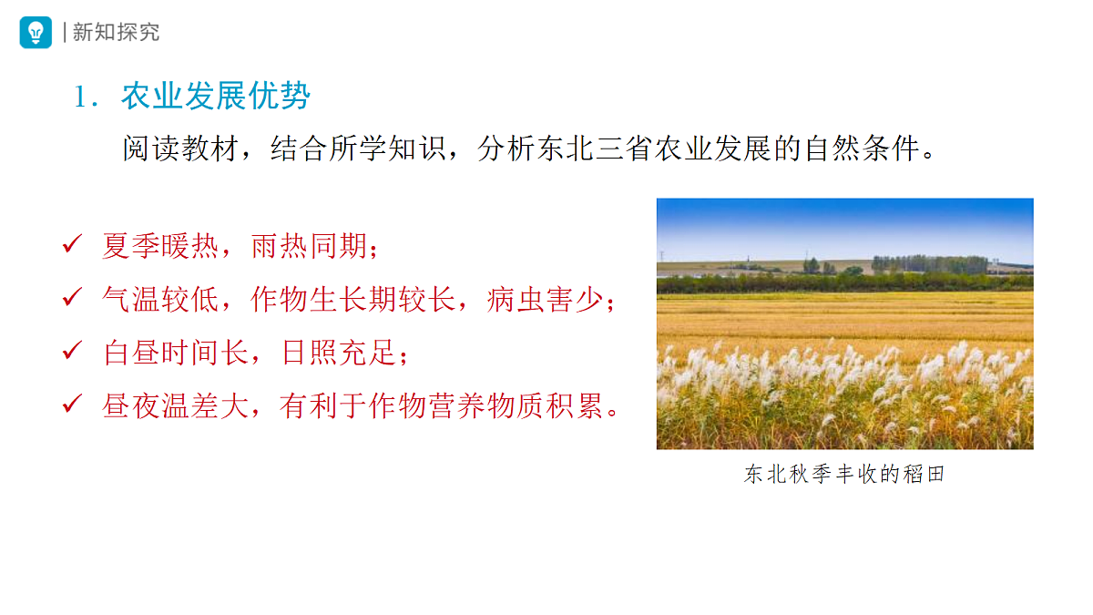 18406739第5页