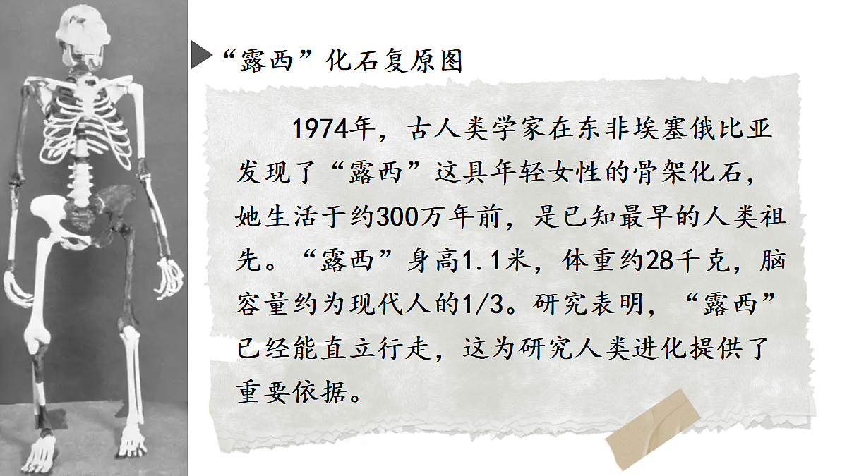18409264第6页