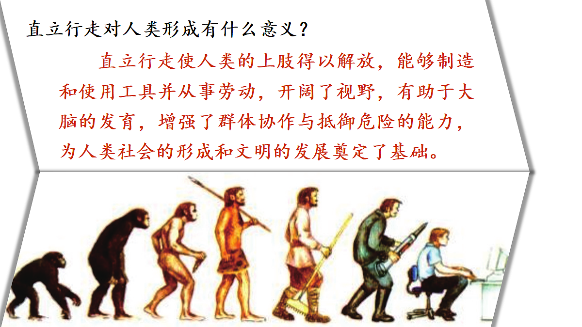 18409264第7页