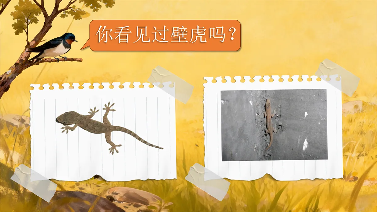小壁虎借尾巴第6页