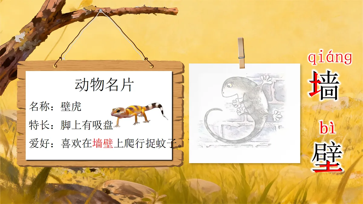 小壁虎借尾巴第7页