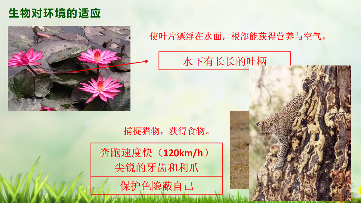 18413241第7页