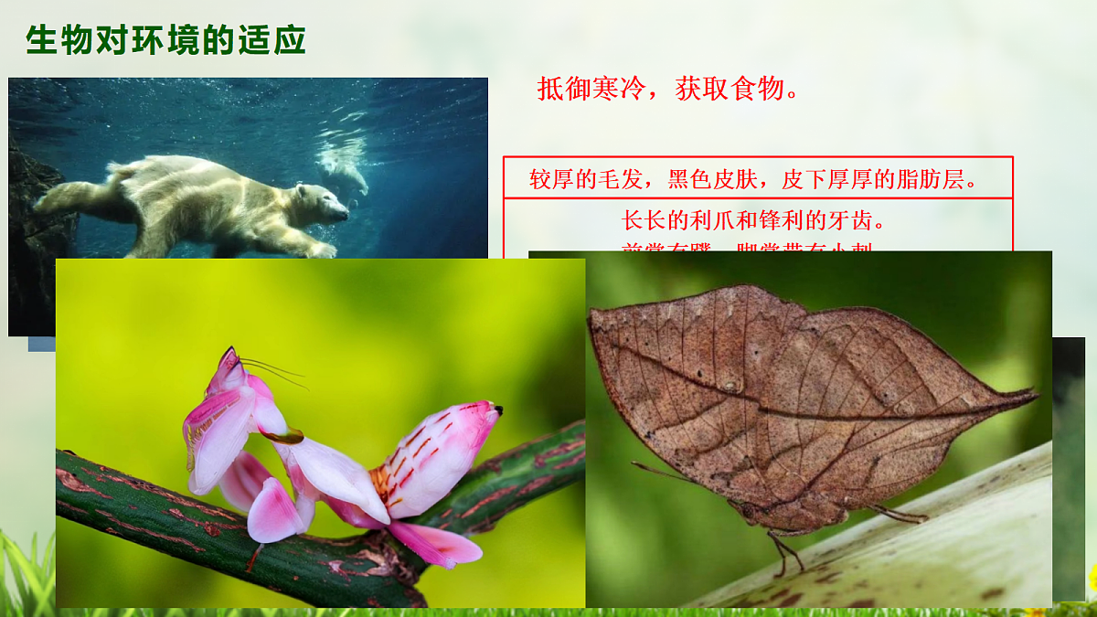 18413241第8页