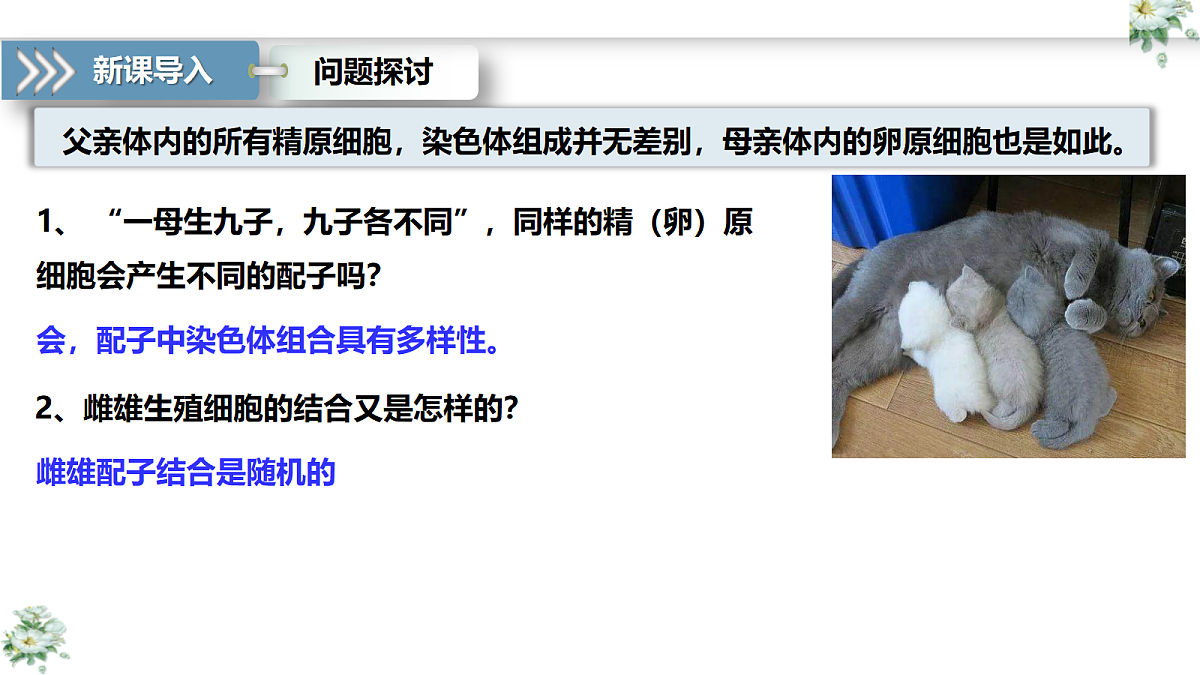 18413276第5页