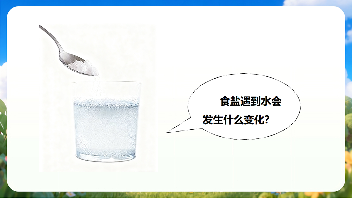 粤教粤科版 (2024)科学二上 1.3《往水里加盐》课件第7页