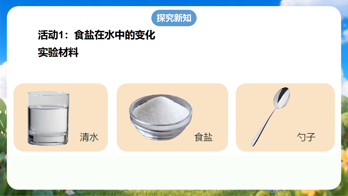粤教粤科版 (2024)科学二上 1.3《往水里加盐》课件第8页