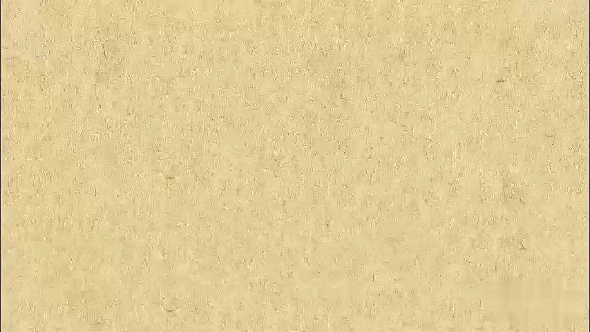 18416266第8页