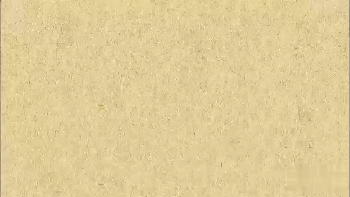 18416266第8页