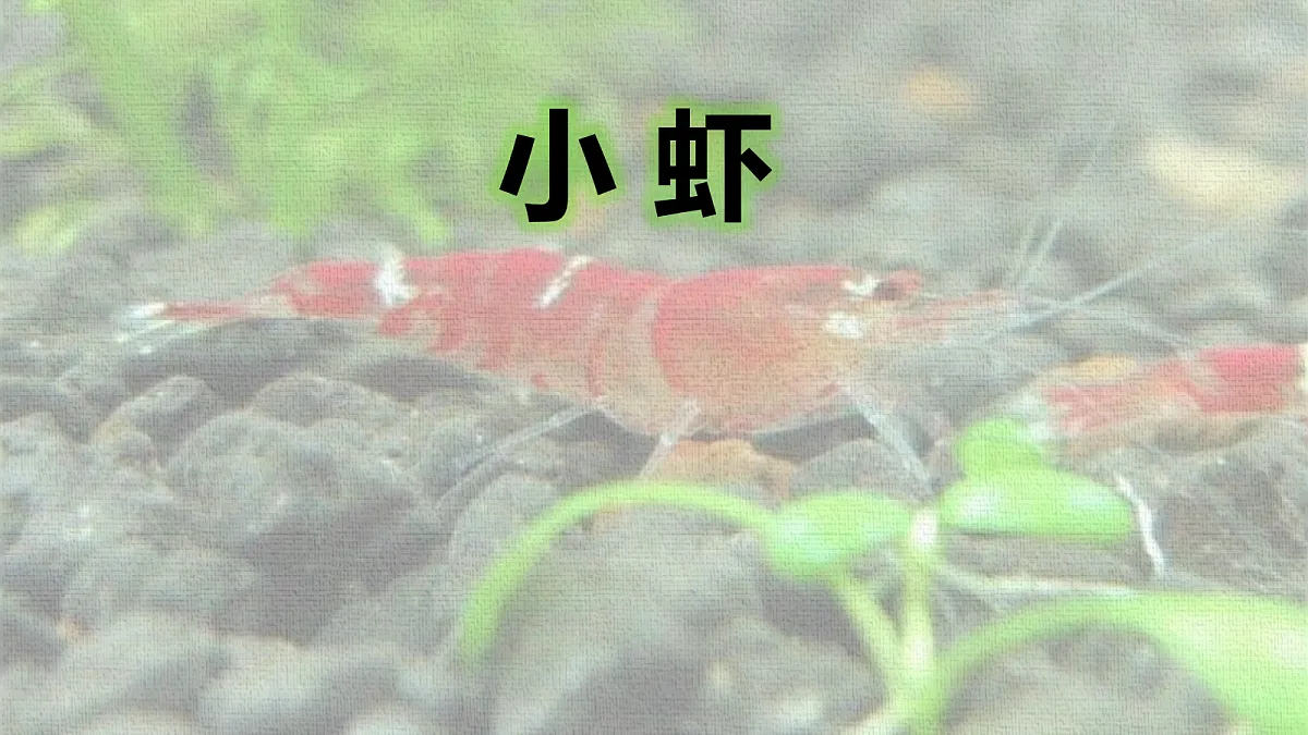 18416939第1页