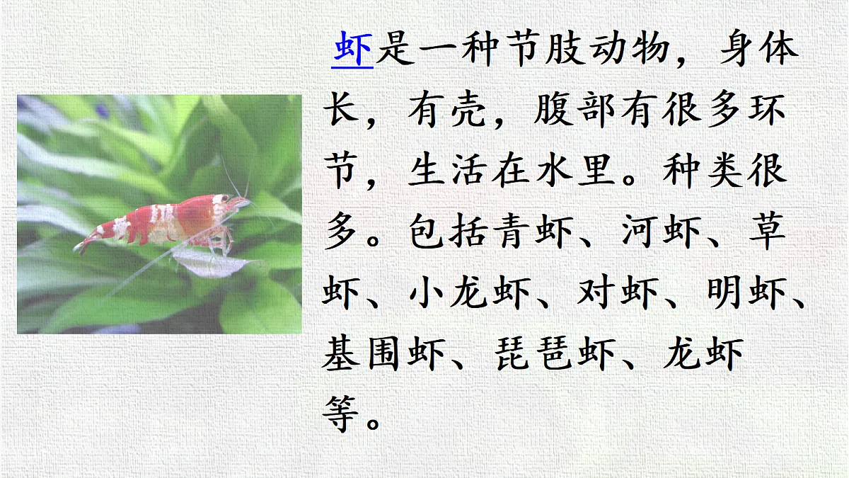 18416939第6页
