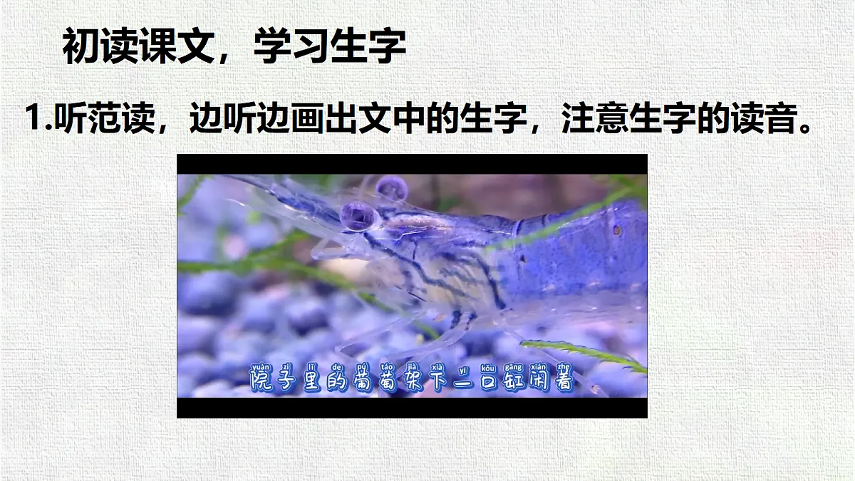 18416939第7页