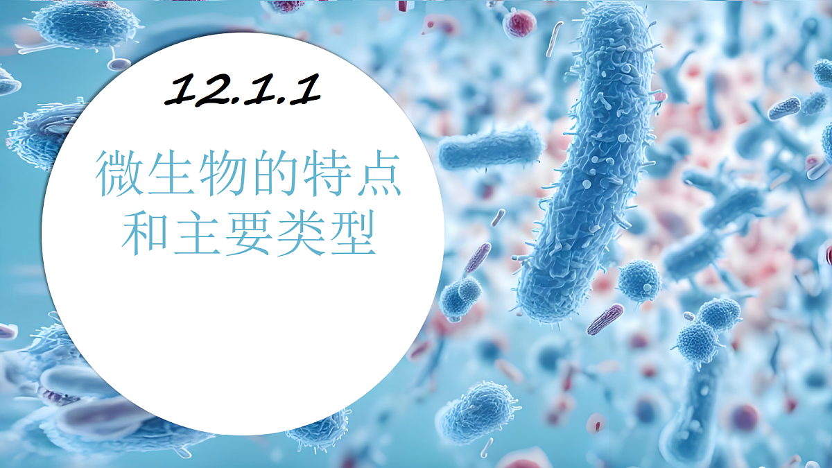 18419146第1页