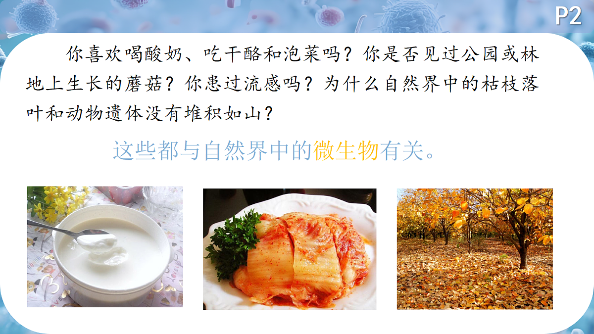 18419146第5页