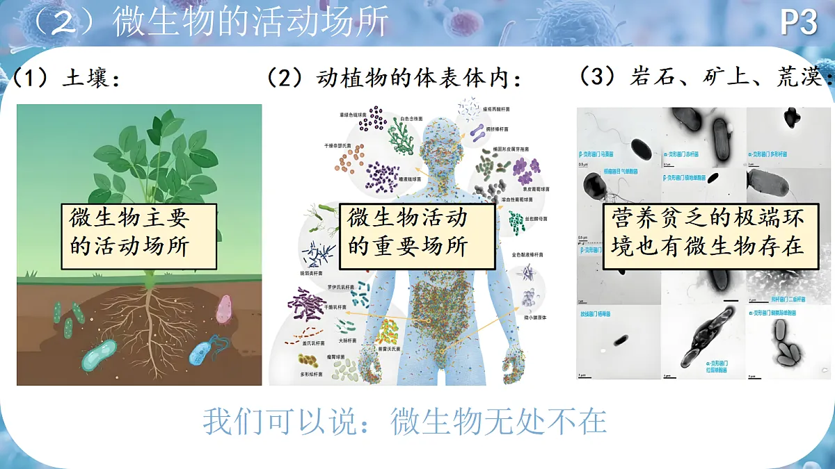 18419191第4页