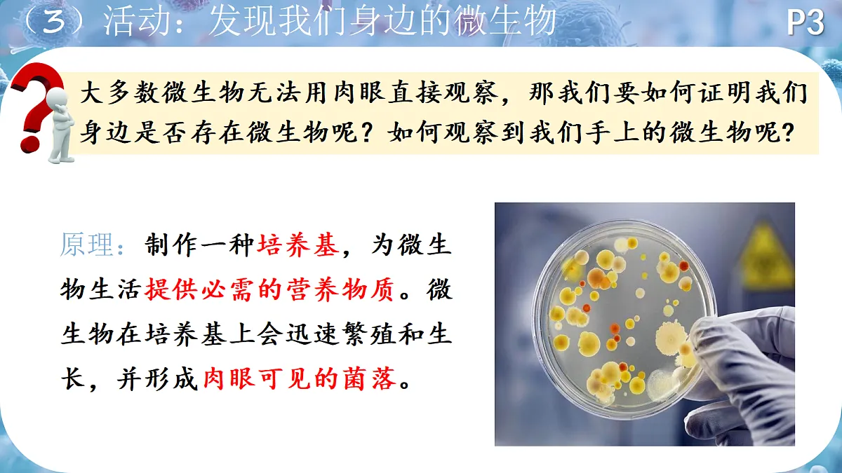 18419191第6页