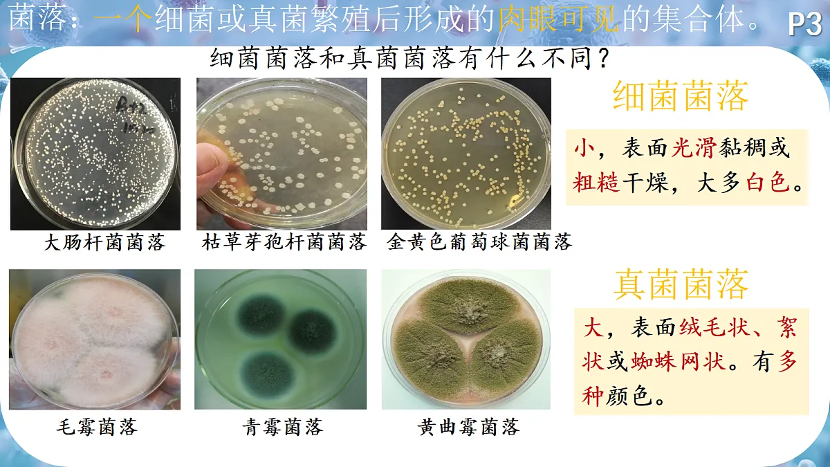 18419191第7页