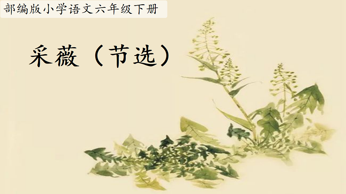 18420211第2页