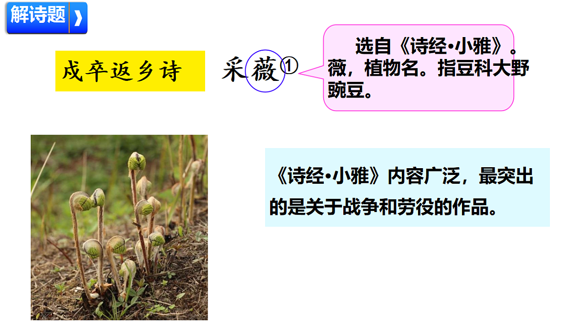 18420211第4页