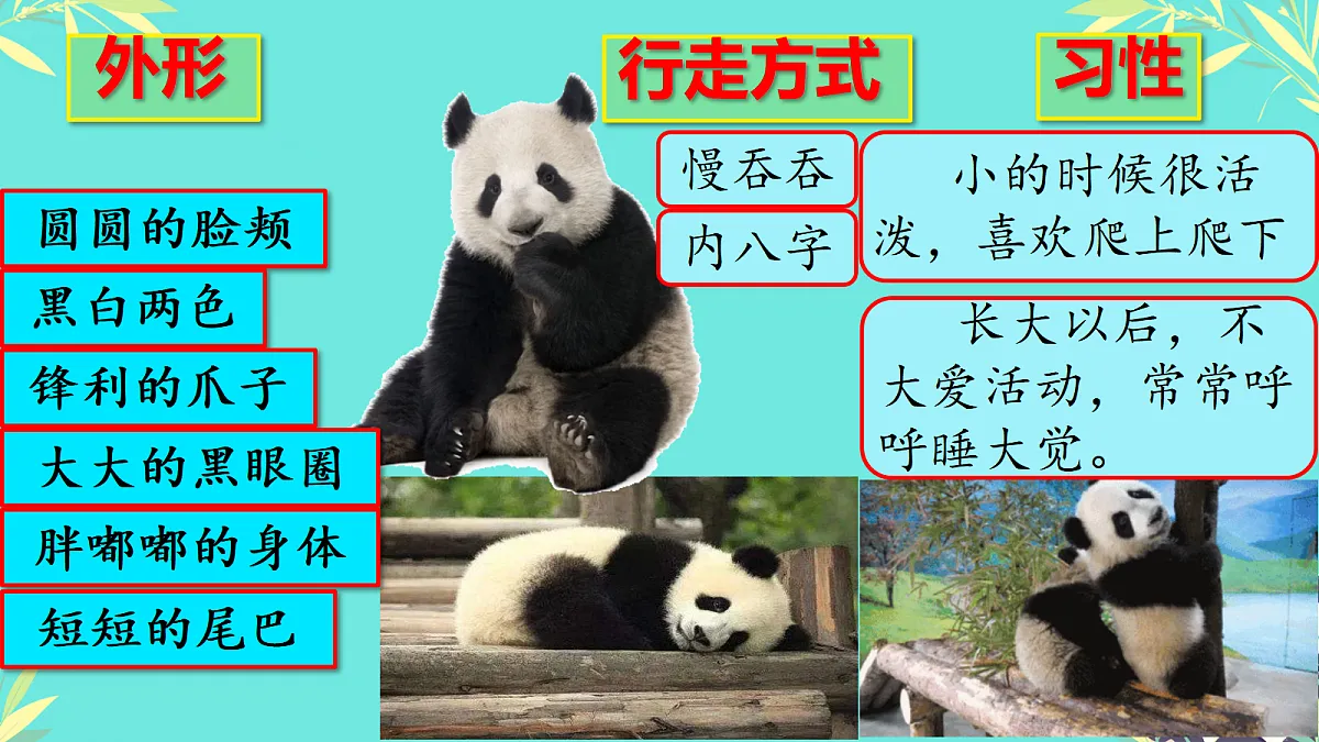 18420217第6页