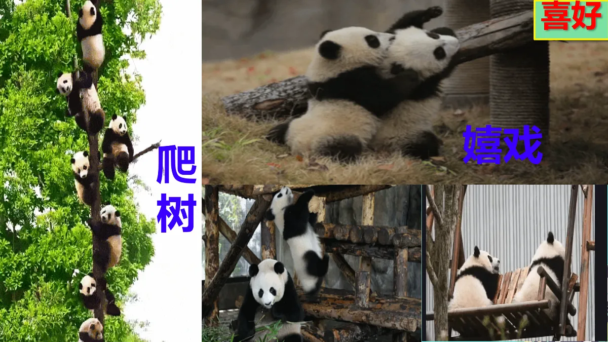 18420217第8页
