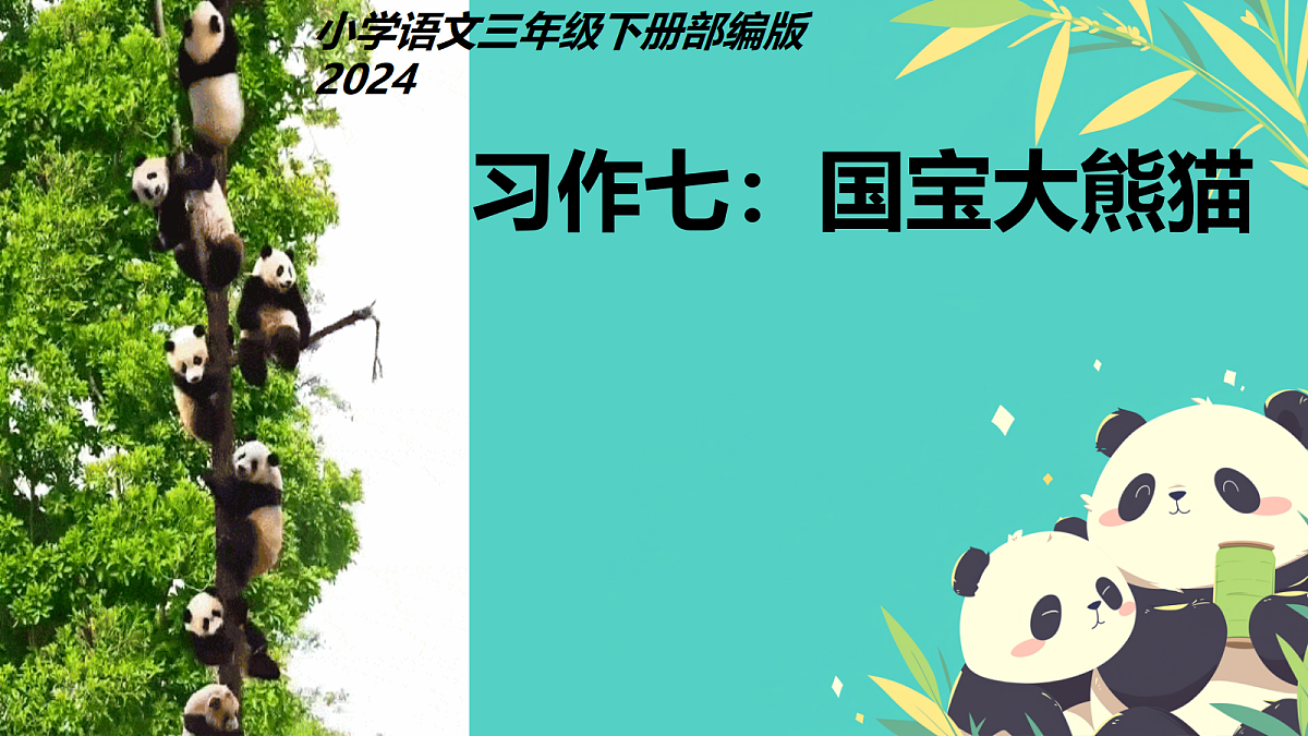 18420264第1页
