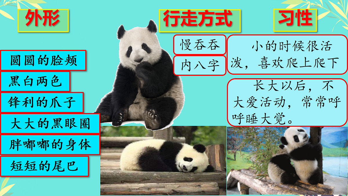 18420264第6页