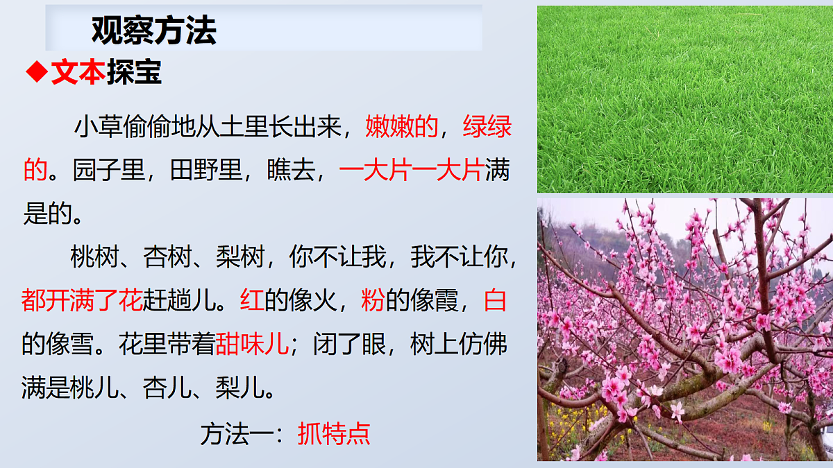 热爱写作, 学会观察第7页