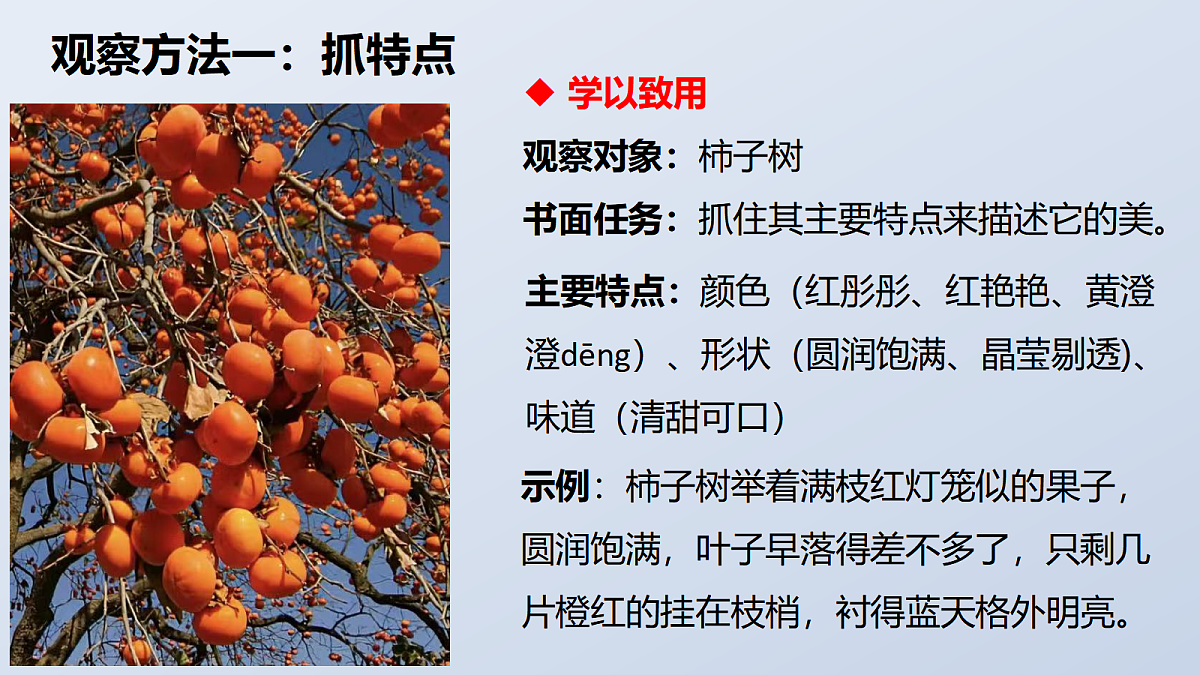 热爱写作, 学会观察第8页