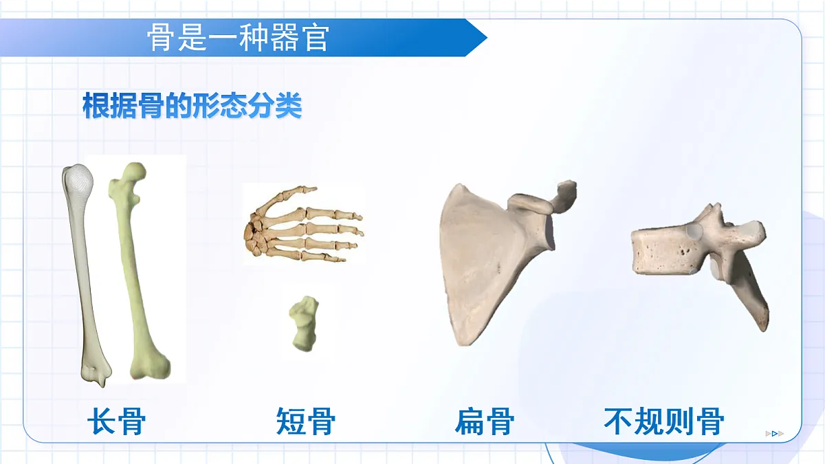 18422616第6页