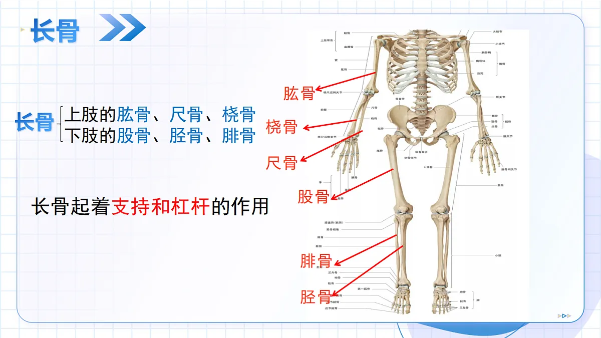 18422616第7页
