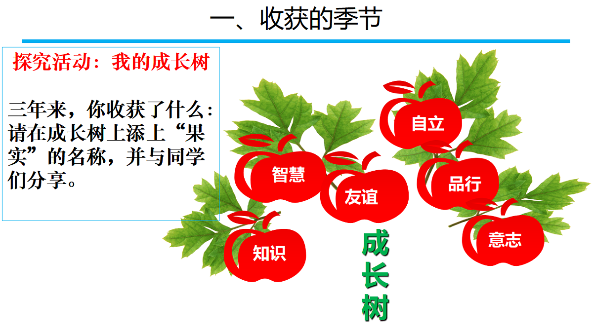 18422823第5页