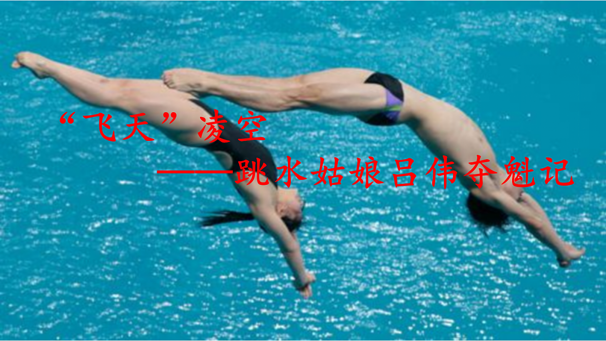 18423895第3页