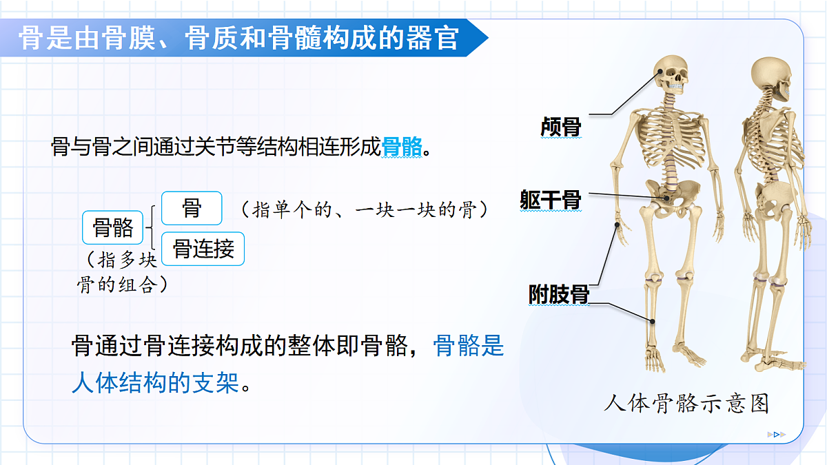 18426407第5页