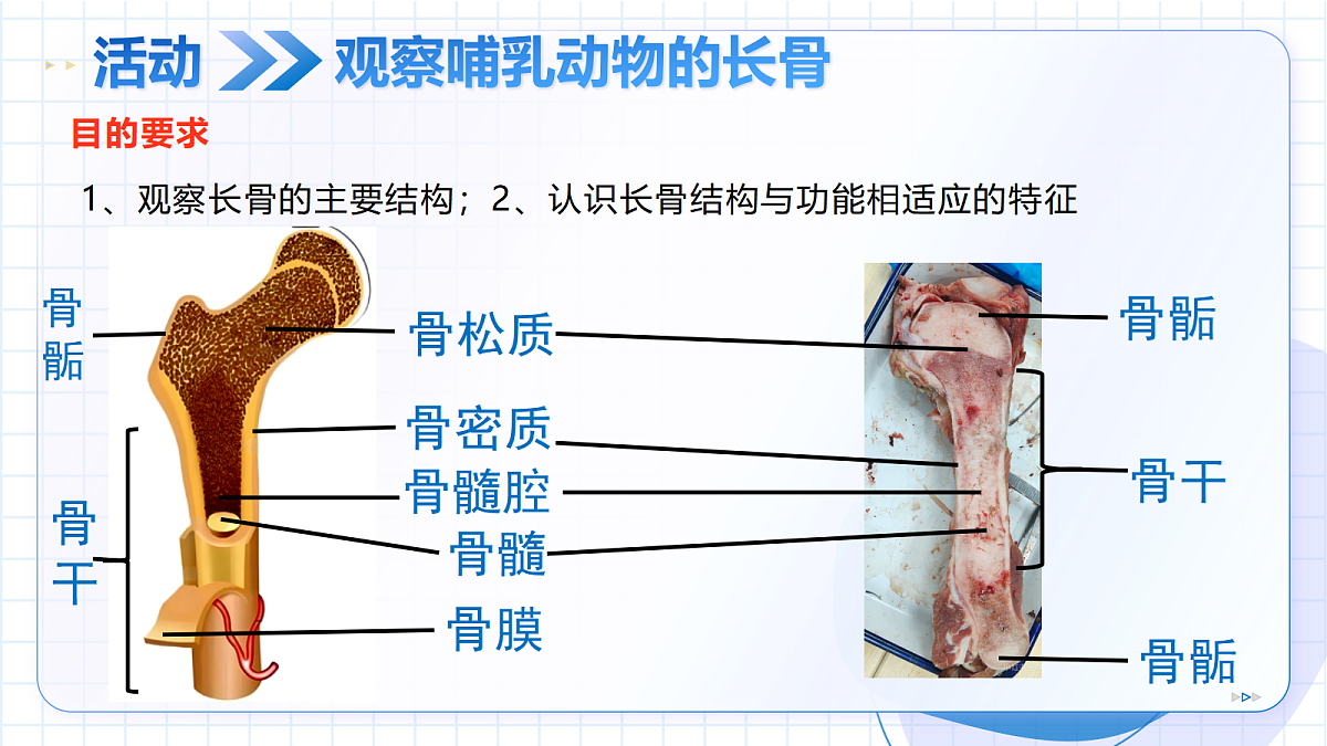 18426407第8页